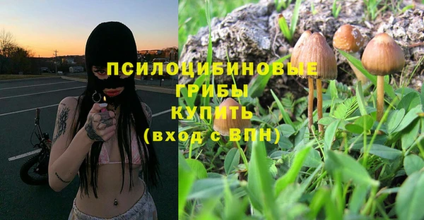 PSILOCYBIN Алексеевка