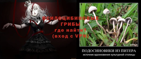 PSILOCYBIN Алексеевка