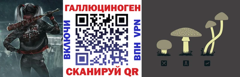 как найти закладки  Мичуринск  Галлюциногенные грибы прущие грибы 